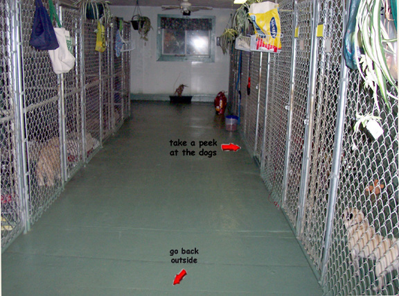 Rainy Day Dog Kennel Rainy Day Dog Kennel